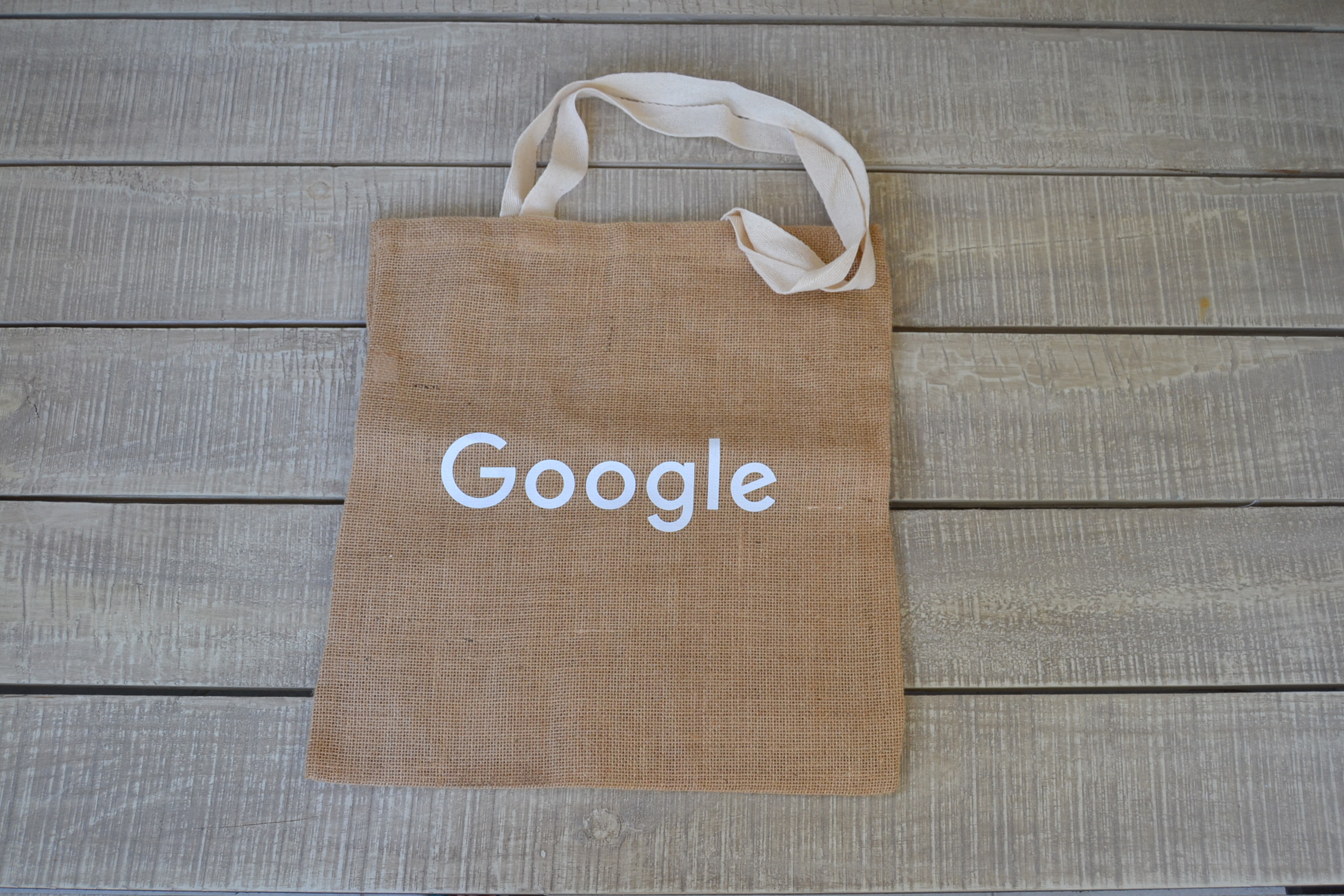 Google Antitheft Backpack