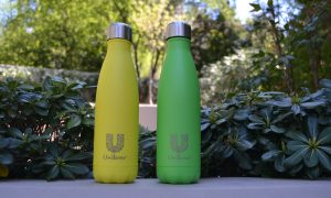 Chilly's double wall stainless steel bottle