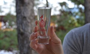 pomegranate glass shot