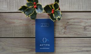 Aktina Optical center, blue pocket diary