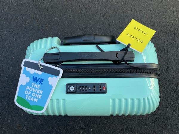 Ben Jerrys custom luggage tag