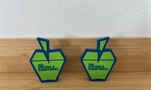 Ministry of Development & Investment, apple shape usb