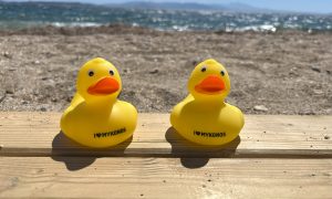 Thank Mykonos, μεγάλα πλαστικά παπάκια