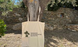 Φυτοπαθολογικό Ινστιτούτο, τσάντα ώμου tote bag